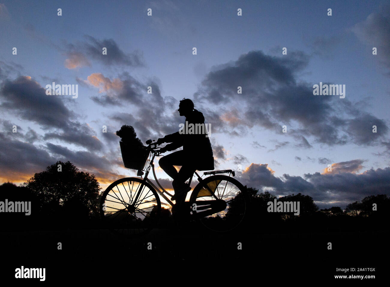 Un ciclista con il suo cane in un cestello, rides home sotto un tempestoso tramonto in un parco di Londra Foto Stock