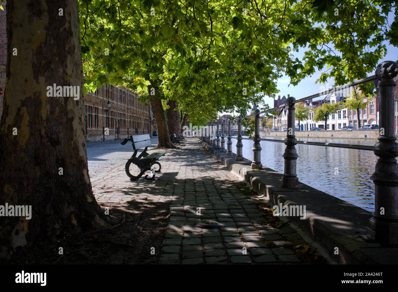 Un banco ombreggiata si siede da canal a Bruges, Belgio. Foto Stock