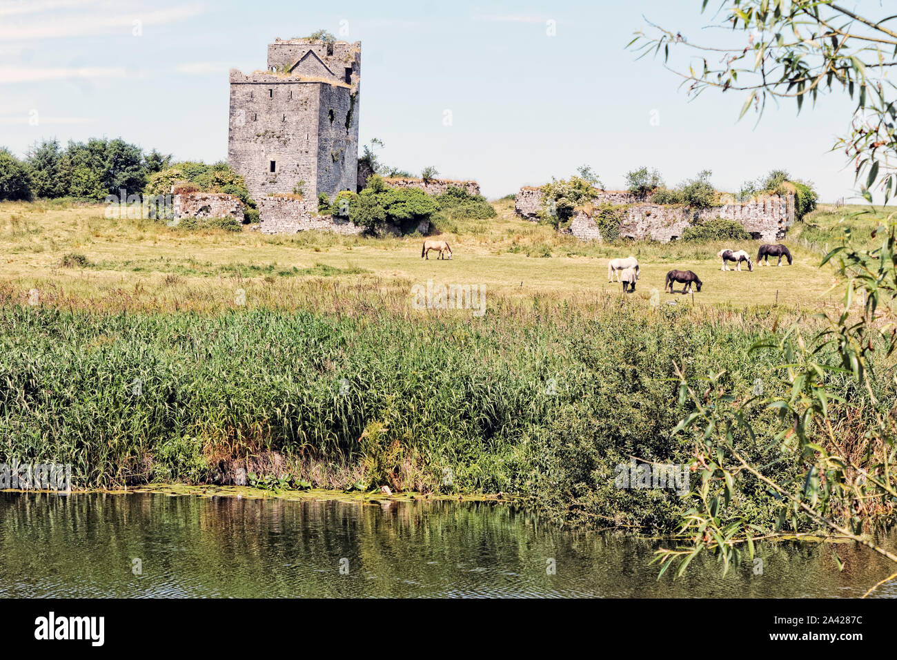 I resti di Ballynahinch Castle sulla banca del fiume Suir nella Contea di Tipperary, Irlanda. Foto Stock