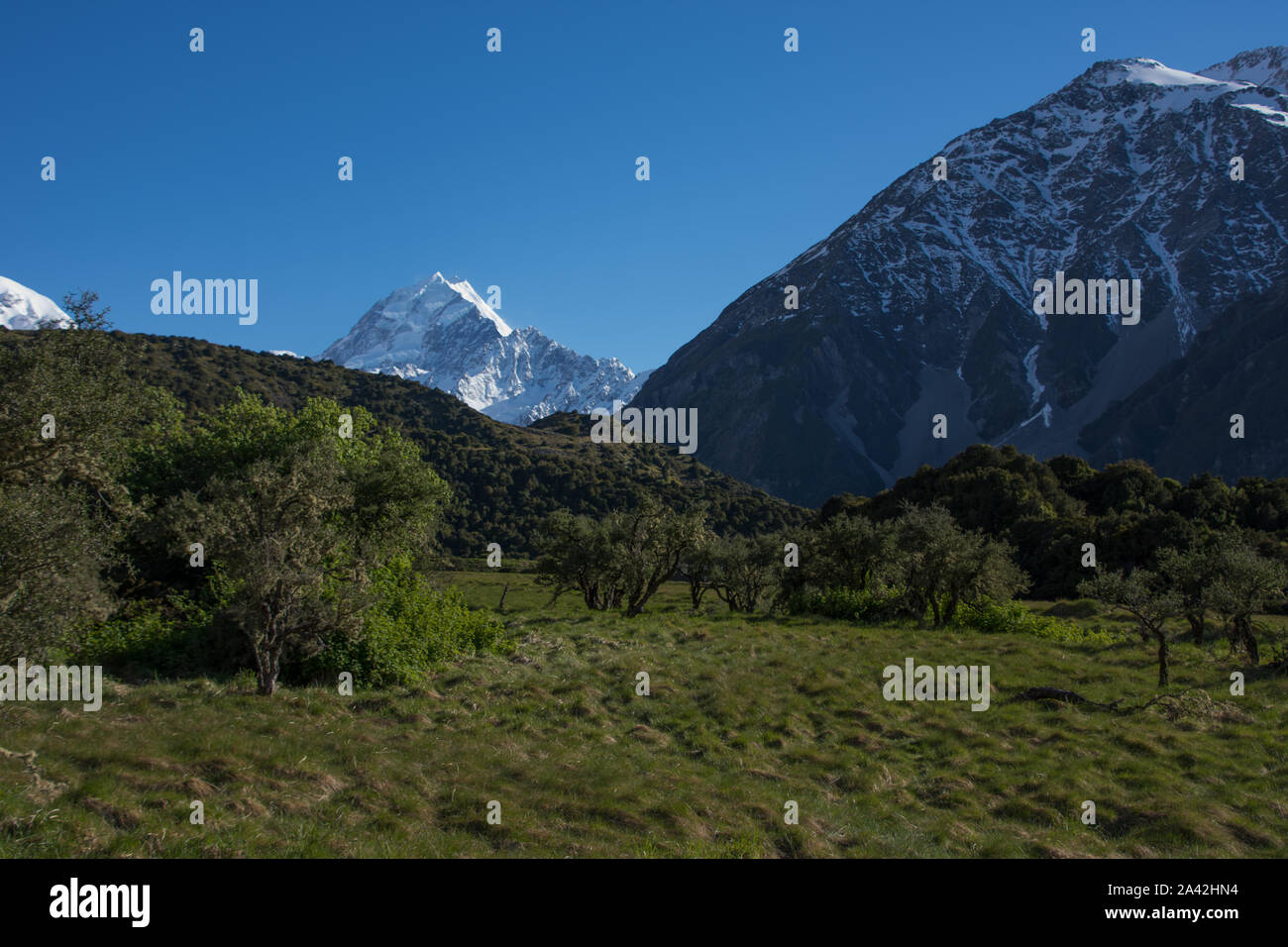 La cresta del vertice del Mt Cook / Aoraki su una soleggiata giornata estiva a Canterbury in Nuova Zelanda Foto Stock