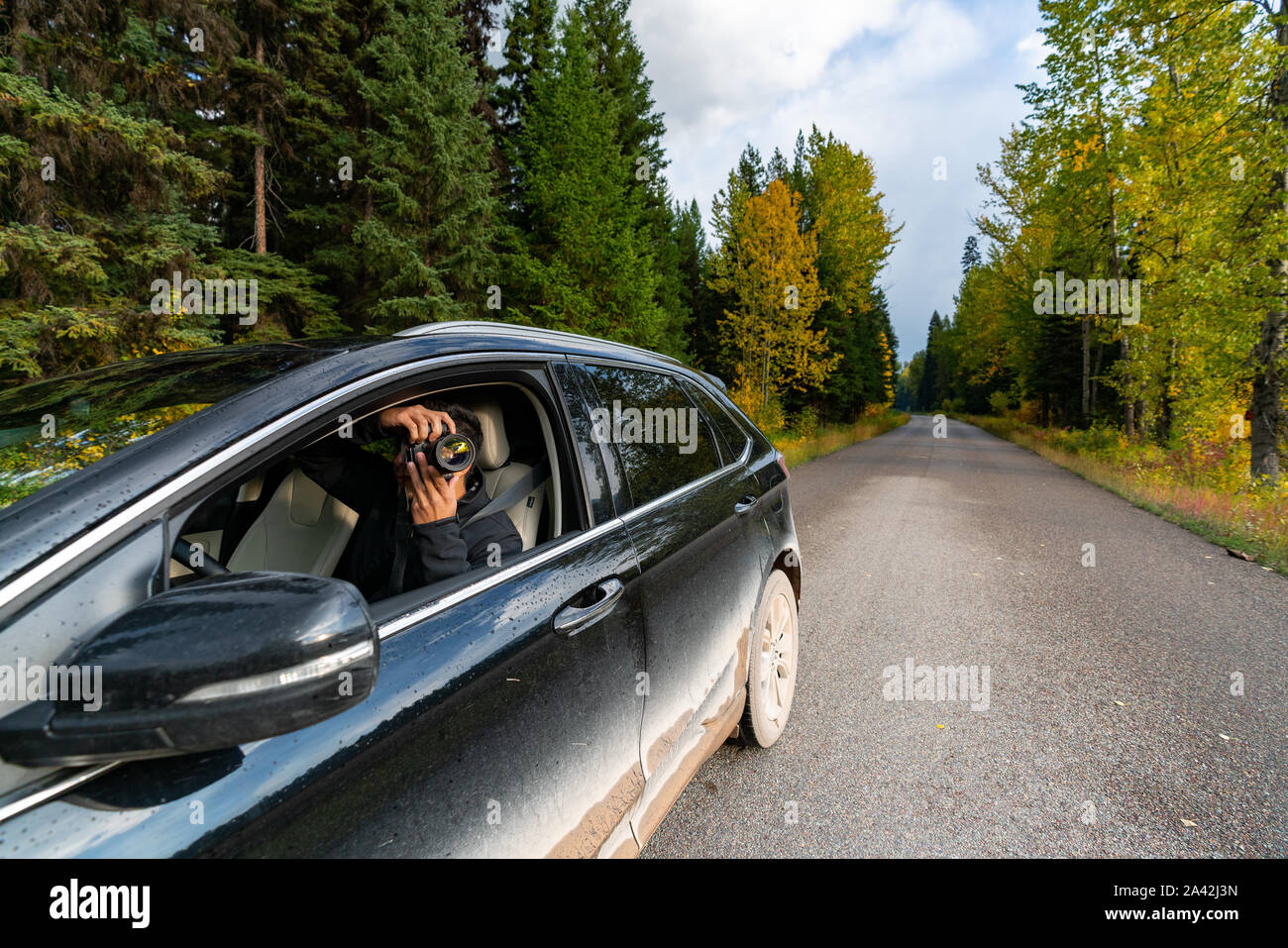 Uomo di fotografare la natura dall'interno del suo sporco nero auto e gli alberi con caduta calors in background, Montana. Foto Stock