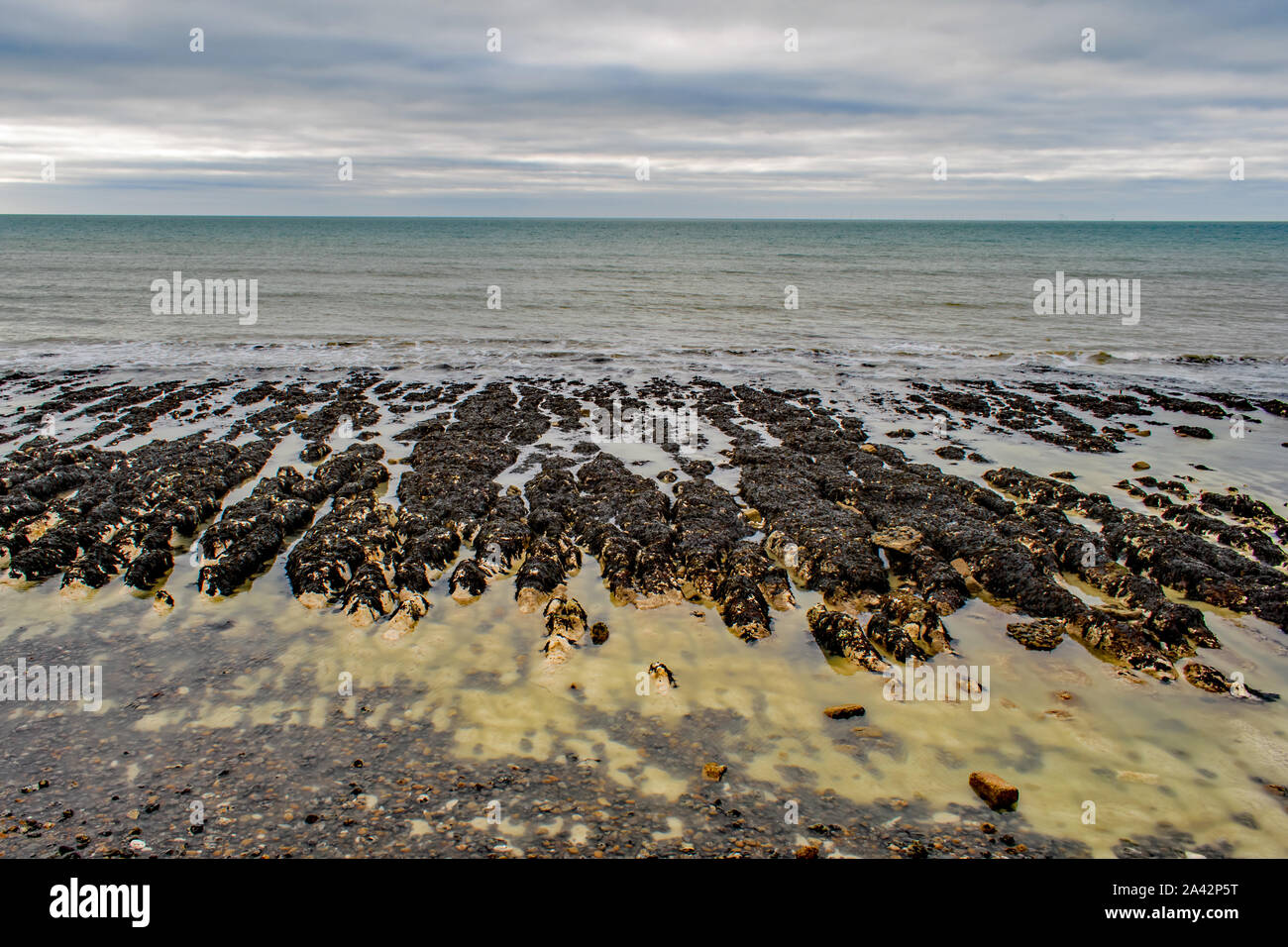 Il nero e rabboccato calcare rocce spiovente sulla riva formano canali per la ritirata mare vicino a Brighton, Inghilterra. Foto Stock