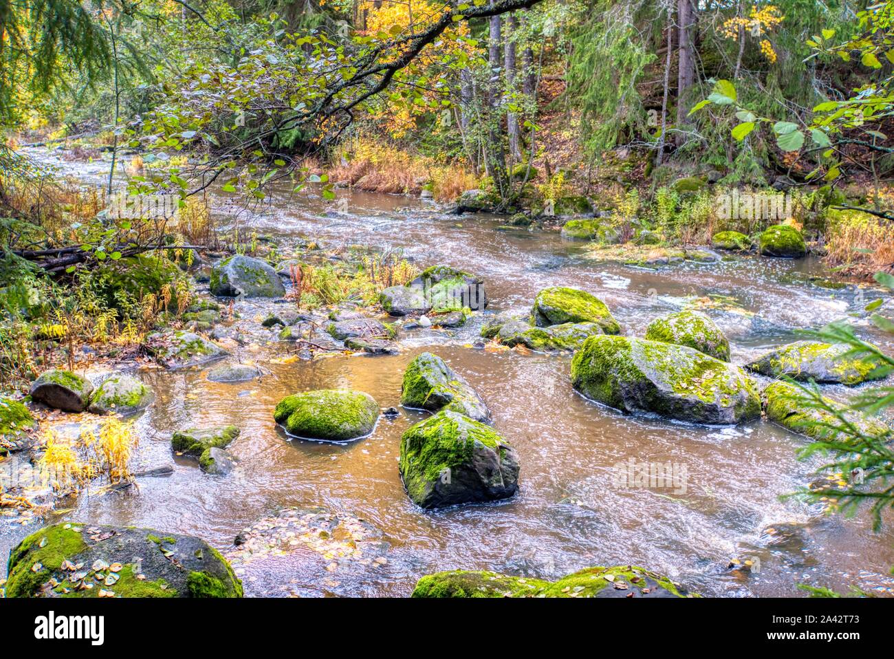 Moss coperto di massi in una foresta stream, Finlandia centrale Foto Stock