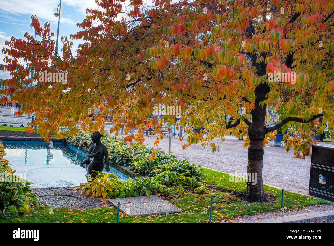 Foglie di autunno sugli alberi a Helsinki in Finlandia Foto Stock