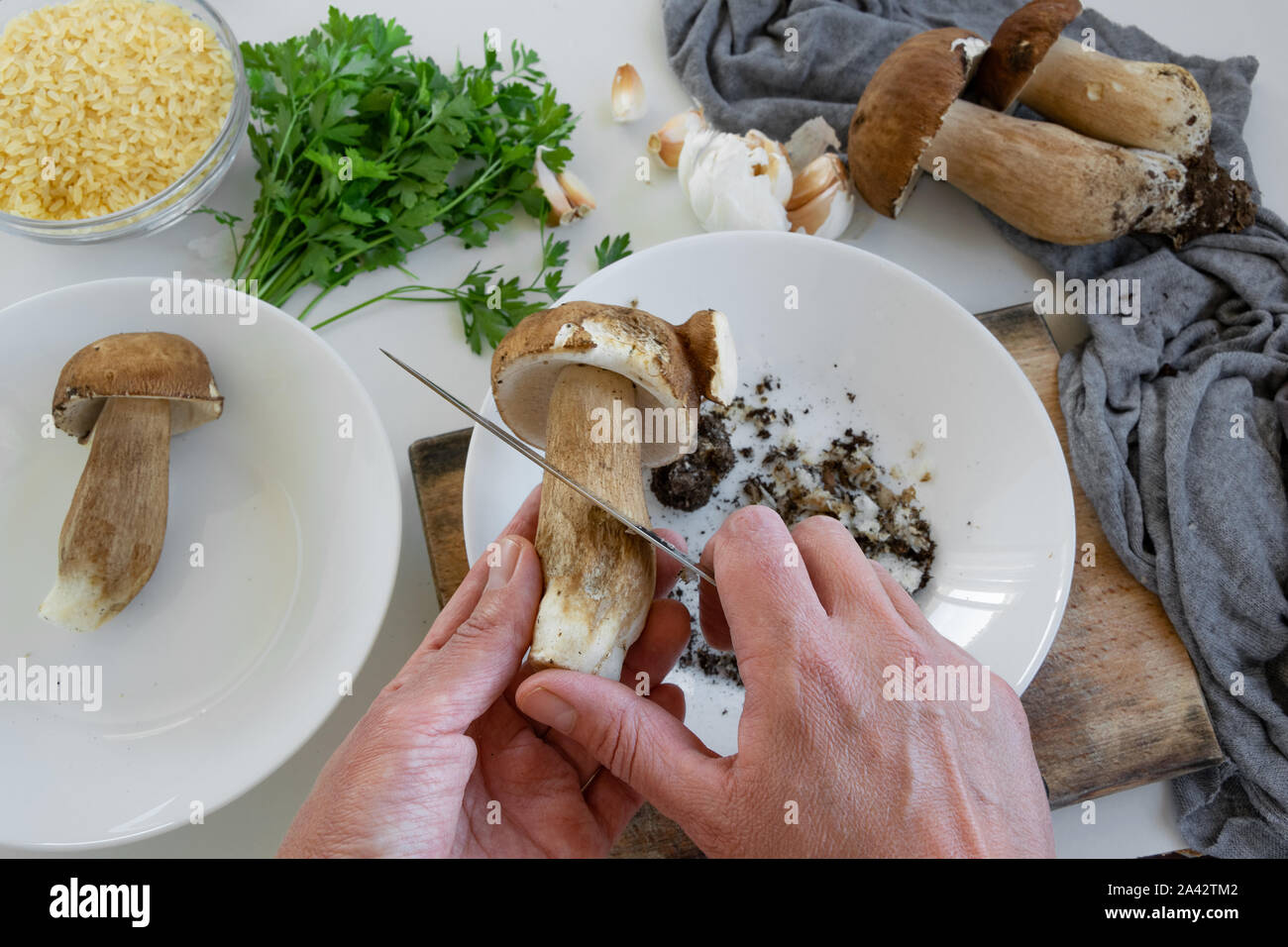 Punto di vista personale della donna le mani la preparazione di funghi porcini (Boletus commestibile) per la cottura Foto Stock