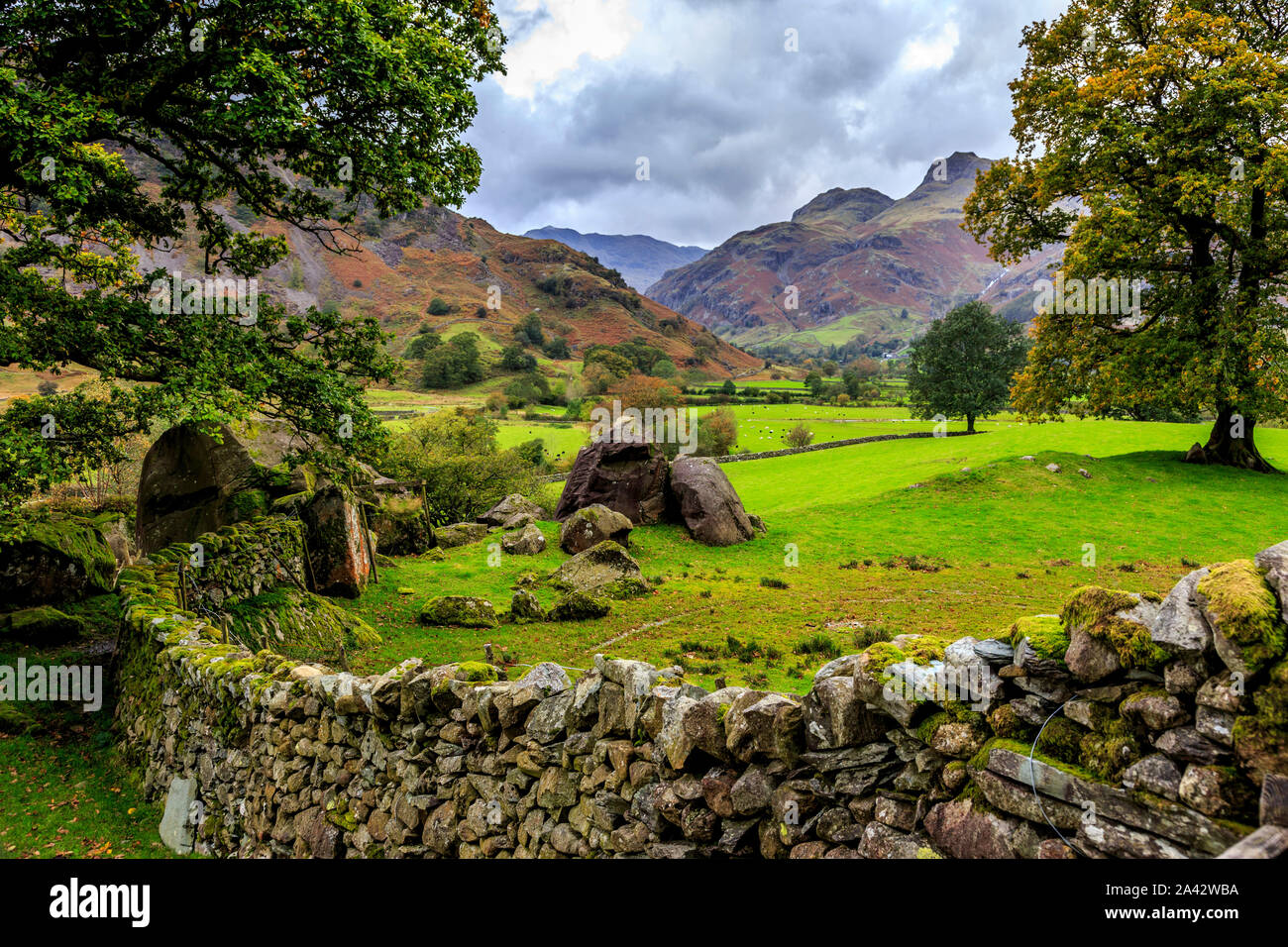 Grande langdale valley,parco nazionale del distretto dei laghi, cumbria, Regno Unito gb Foto Stock