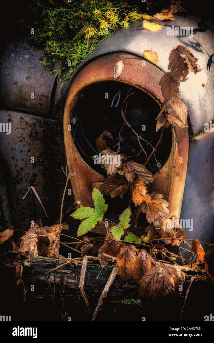 Vecchio rottame metallico di vetture in un legno Foto Stock