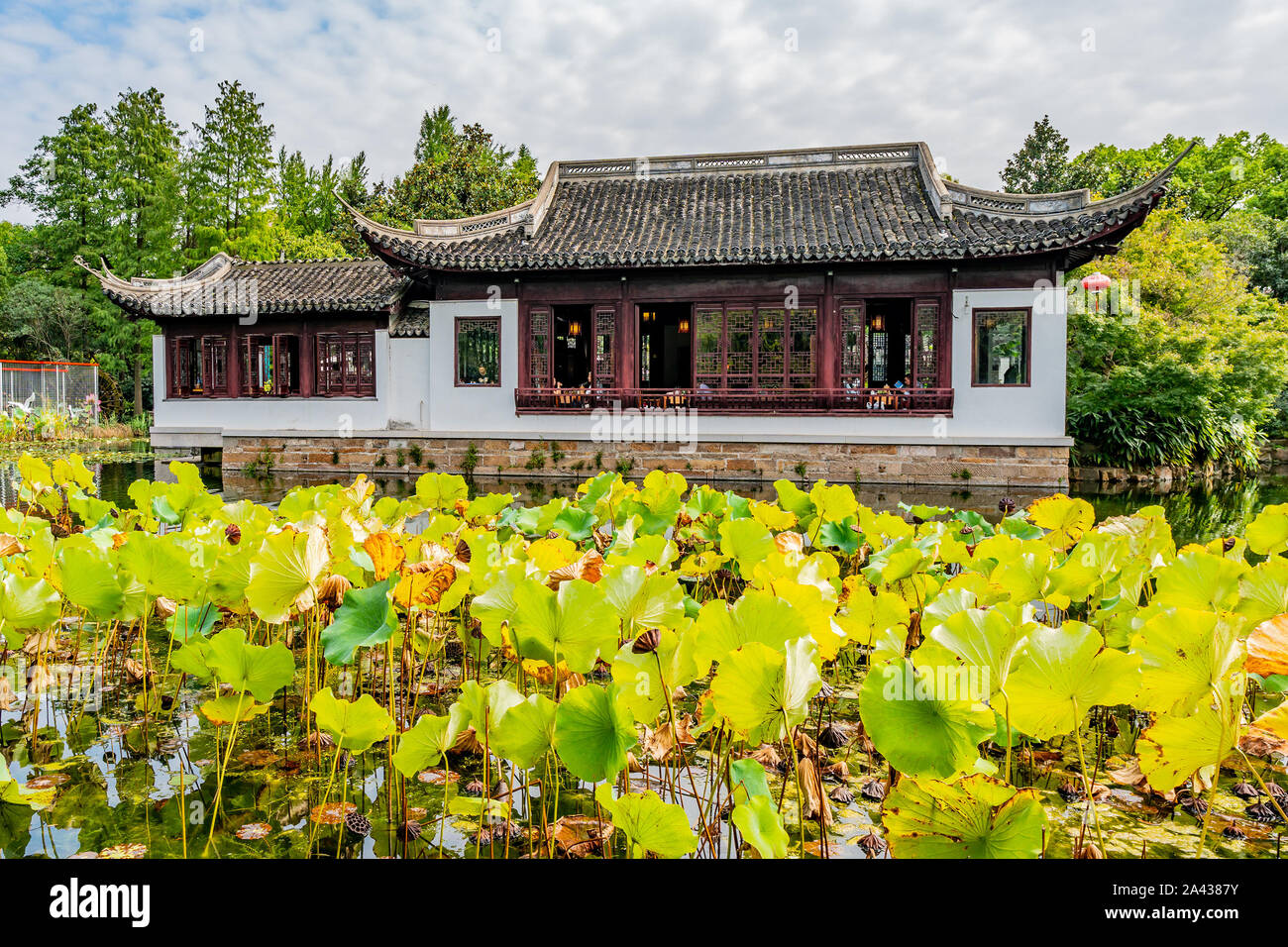 Shanghai Nanxiang Città Vecchia Canal City pittoresco Guyi Gongyuan giardino cinese con edificio tradizionale e ninfee sul lago Foto Stock