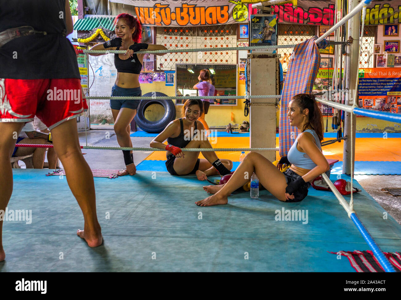 Montare il signore il corso di formazione nella Muay Thai (in stile Thai Kickboxing) palestra a Bangkok in Tailandia Foto Stock