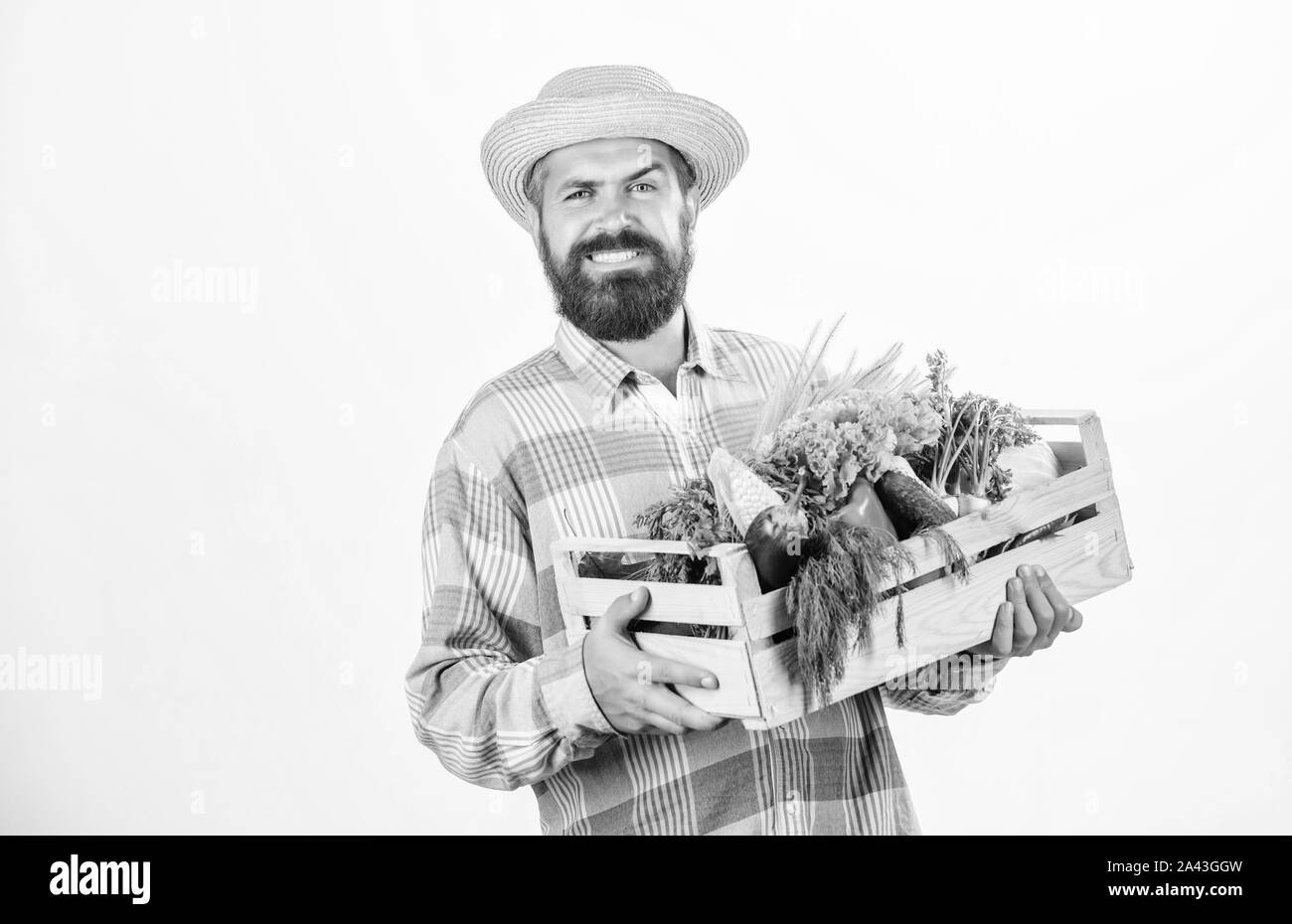 In campagna. l uomo chef con ricco raccolto autunnale stagionali. Vitamina cibo. Utile la frutta e la verdura. organici e alimenti naturali. happy Halloween. barbuto agricoltore maturo. harvest festival. campagna. Foto Stock