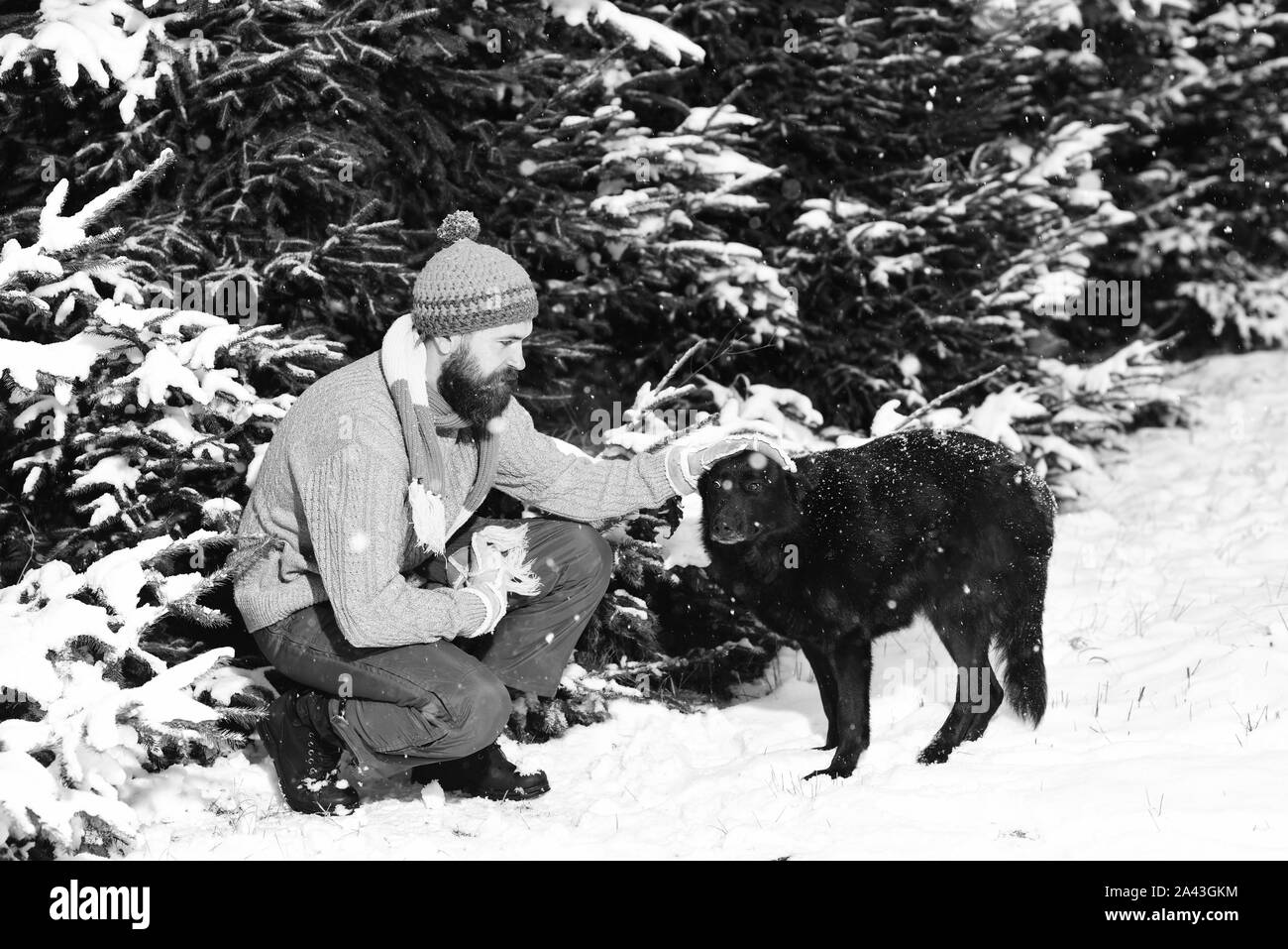 Uomo che cammina con il cane tempo invernale con neve nella foresta. Amicizia con i cani. Foto Stock