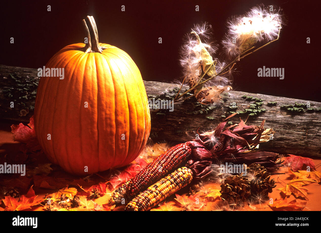Un autunno set di studio Foto Stock