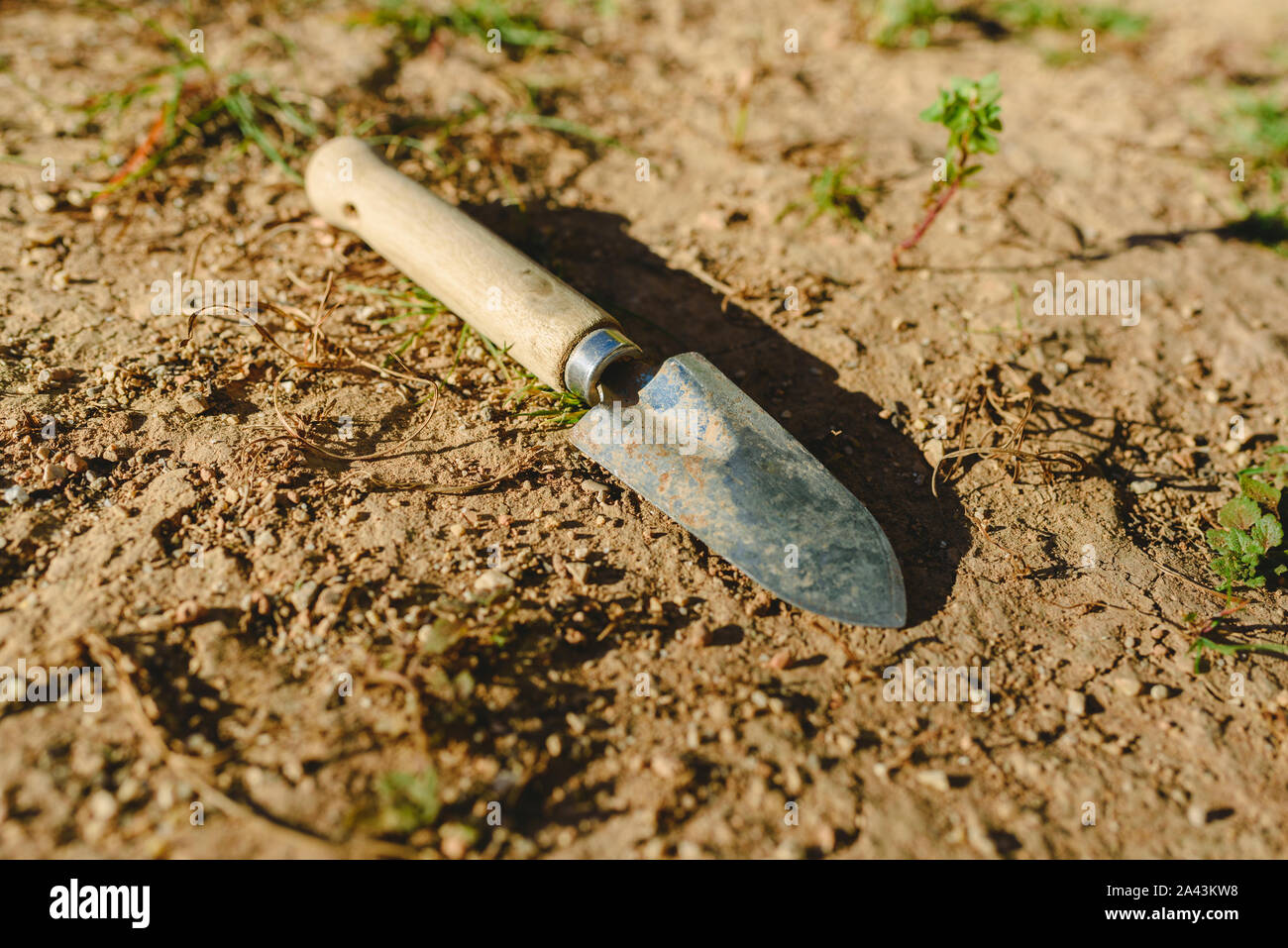 Piccolo giardino pala abbandonato sul terreno di un giardino al sole. Foto Stock