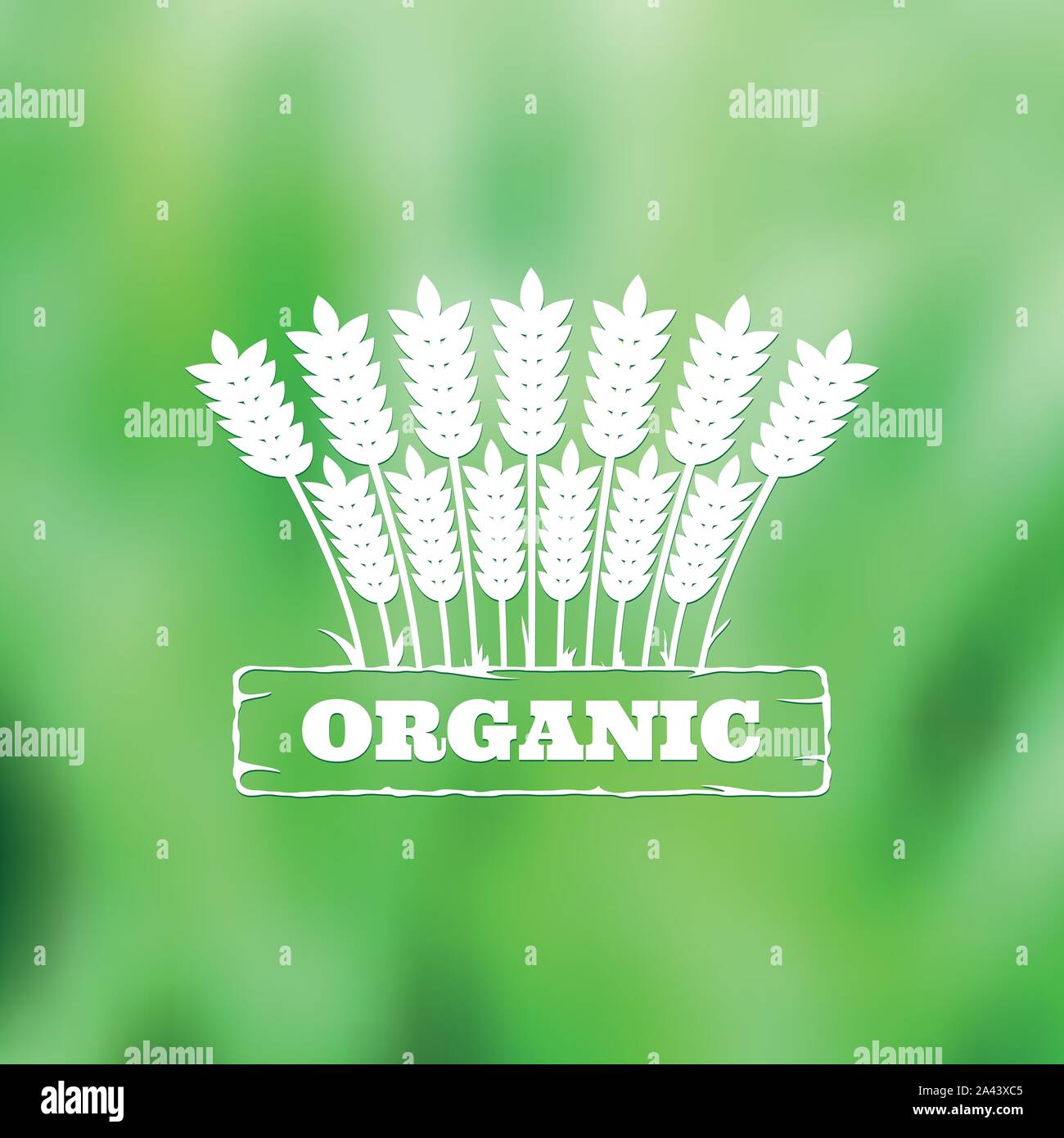 Vintage naturale etichetta su sfondo sfocato Illustrazione Vettoriale