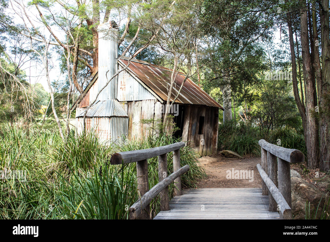 Vecchio legno Australiano bush shack casa con ferro corrugato tetto, il ponte di legno che conduce all ingresso circondato da eucalipti alberi di gomma Foto Stock
