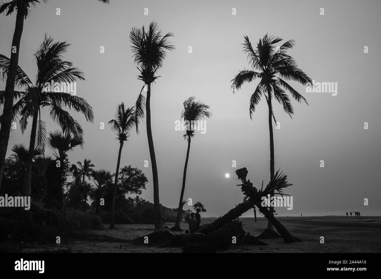Sunrise Kuakata a mare spiaggia. Patuakhali, Bangladesh Foto Stock
