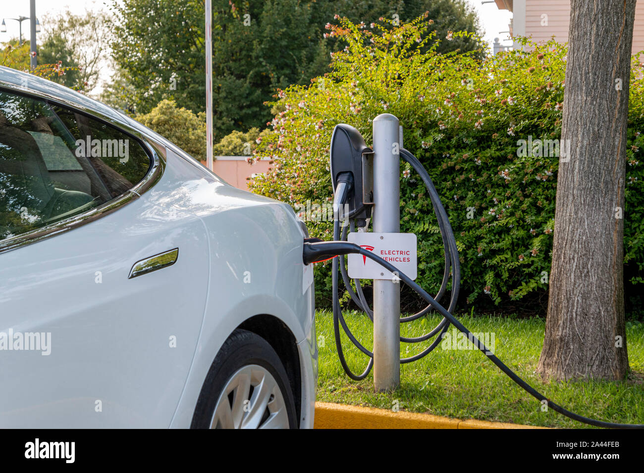 Tesla auto elettrica, E-auto carica presso la stazione di ricarica con cavo di ricarica, Bussolengo, Veneto, Italia, Europa Foto Stock