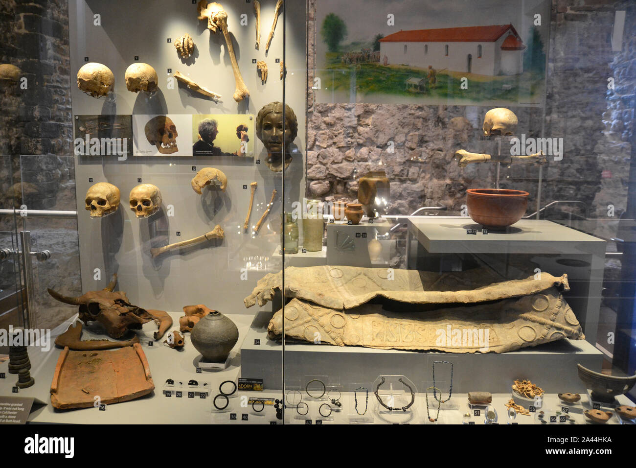 Mostra di archeologia anglosassone, specificamente relativa alla morte e alla sepoltura, all'interno del Colchester Castle Museum, Colchester, Essex, UK Foto Stock