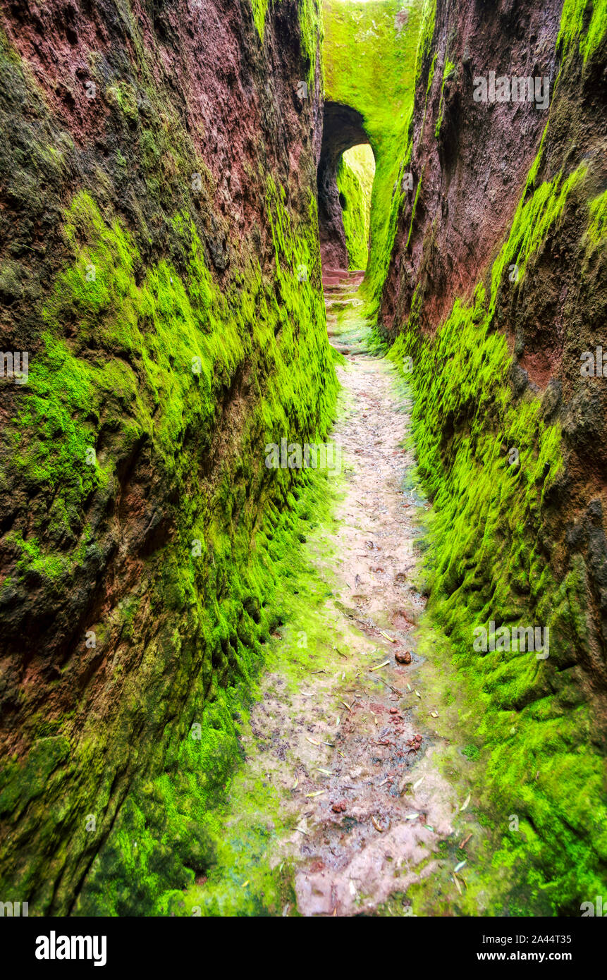Esterno stretti labirinti di Lalibela in Etiopia scavate nella roccia e coperte da un verde muschio Foto Stock
