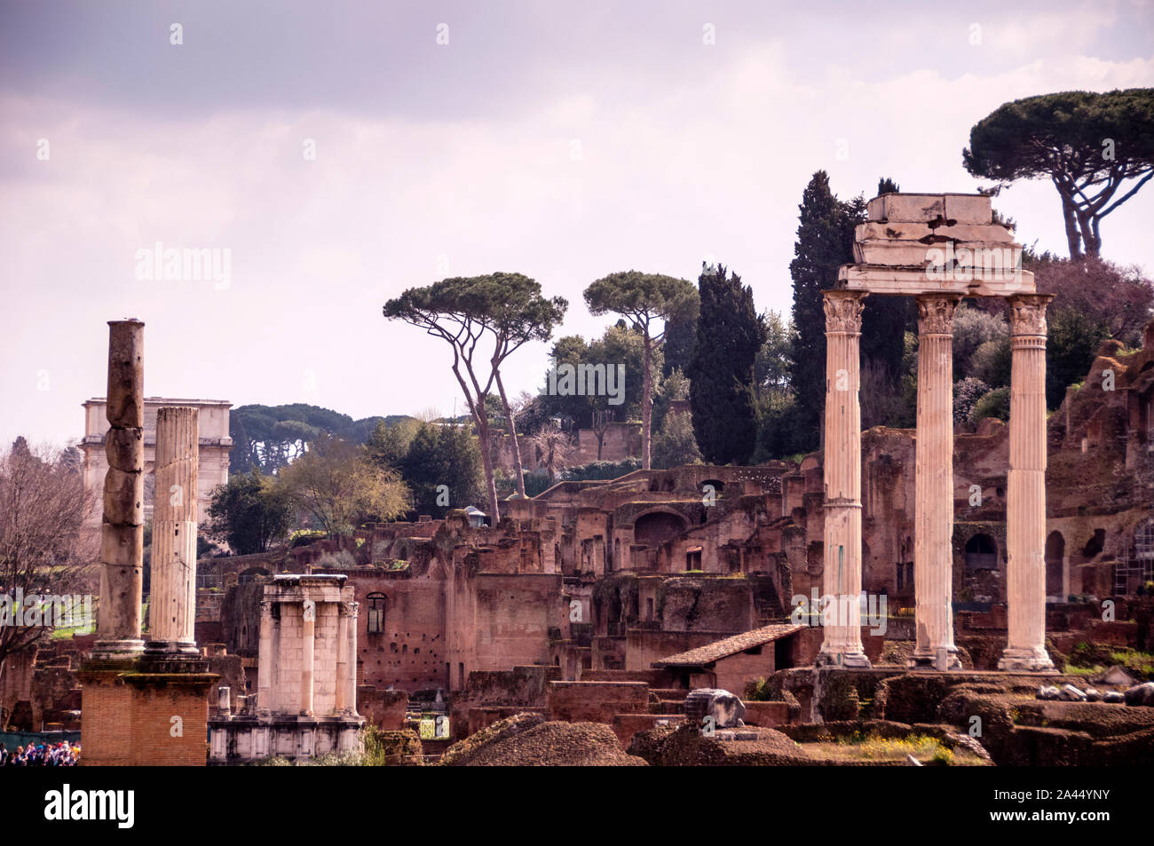 Il Tempio di Castore e Polluce e il Tempio di Vesta nel foro Romano, Roma, Italia. Foto Stock