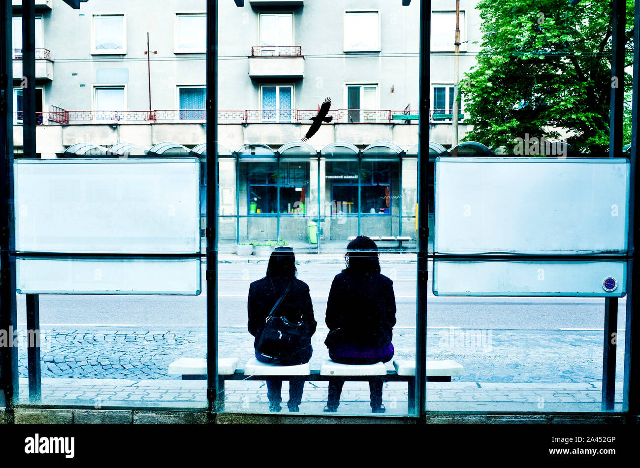 due giovani donne che si trovano a una fermata dell'autobus Foto Stock