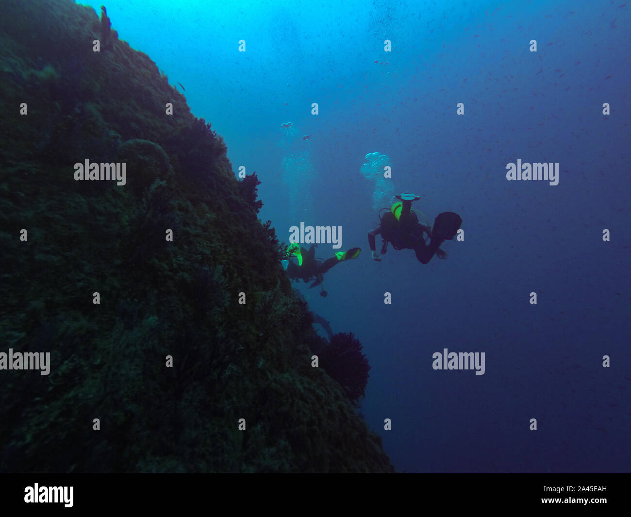 Scuba diving a le dramont, Francia Foto Stock