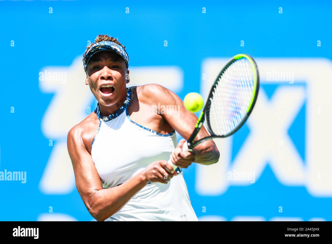 American giocatore di tennis professionista Venus Williams gioca contro American giocatore di tennis professionista Danielle Collins per il primo round del WTA di 2019 W Foto Stock