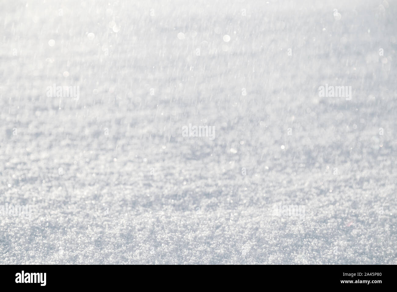 Close-up di neve fresca sul terreno e sfocata nevicata con bokeh di fondo. Buona come una stagione invernale dello sfondo. Profondità di campo, sfondo sfocato. Foto Stock