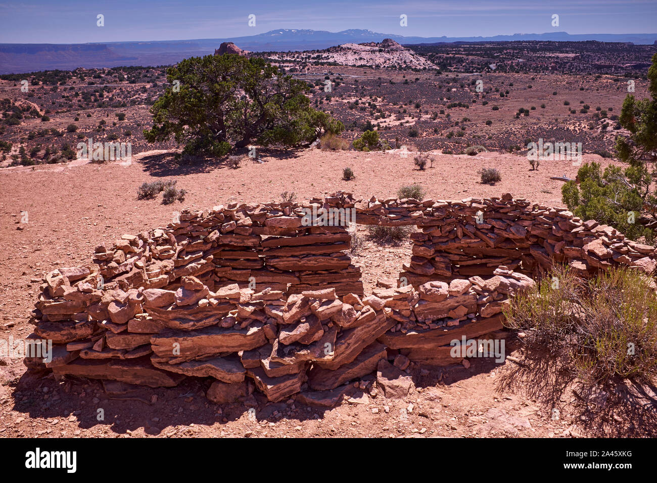 Ancestrale dispensa dei Pueblo a Aztec Butte nel Parco Nazionale di Canyonlands, vicino a Moab, Utah, Stati Uniti d'America Foto Stock