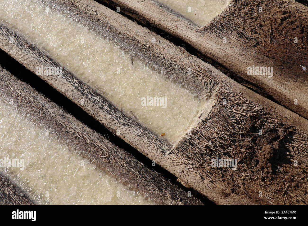 Il processo di produzione e la cristallizzazione del sale da acqua di mare. Grondaie scavate nei tronchi delle palme. Il sole evapora acqua di mare da tronchi di legno. Foto Stock