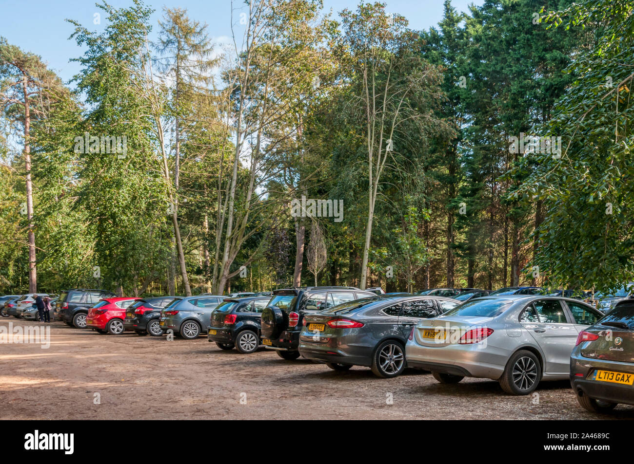 Parcheggio auto gratuito a Sandringham Country Park sulla tenuta Reale di Sandringham nel Norfolk è alla fine di febbraio 2020. Foto Stock