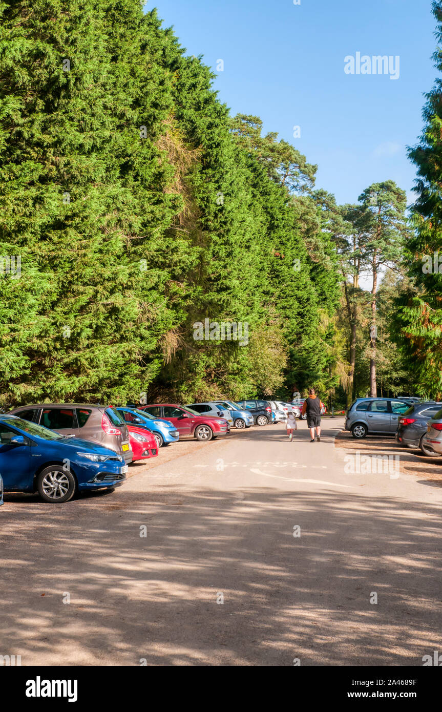 Parcheggio auto gratuito a Sandringham Country Park sulla tenuta Reale di Sandringham nel Norfolk è alla fine di febbraio 2020. Foto Stock