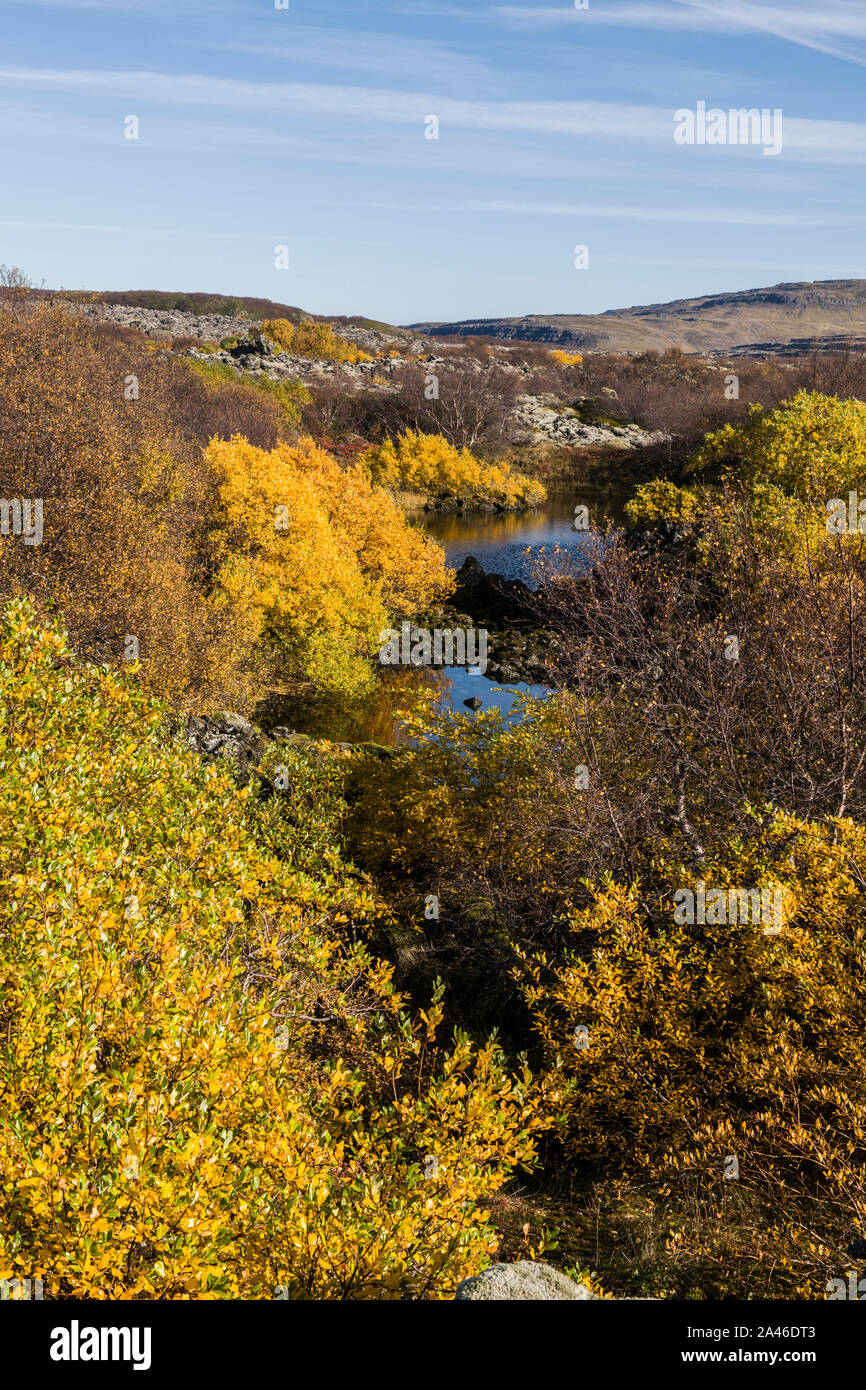 Vecchia lava vulcanica campo a Bifrost in Islanda in autunno sulla strada 1 Foto Stock