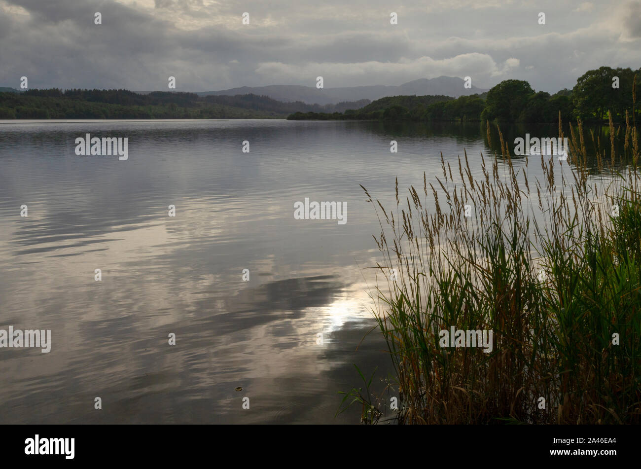 Sera paesaggio di Loch Venachar nel Trossachs Scotland Regno Unito Foto Stock