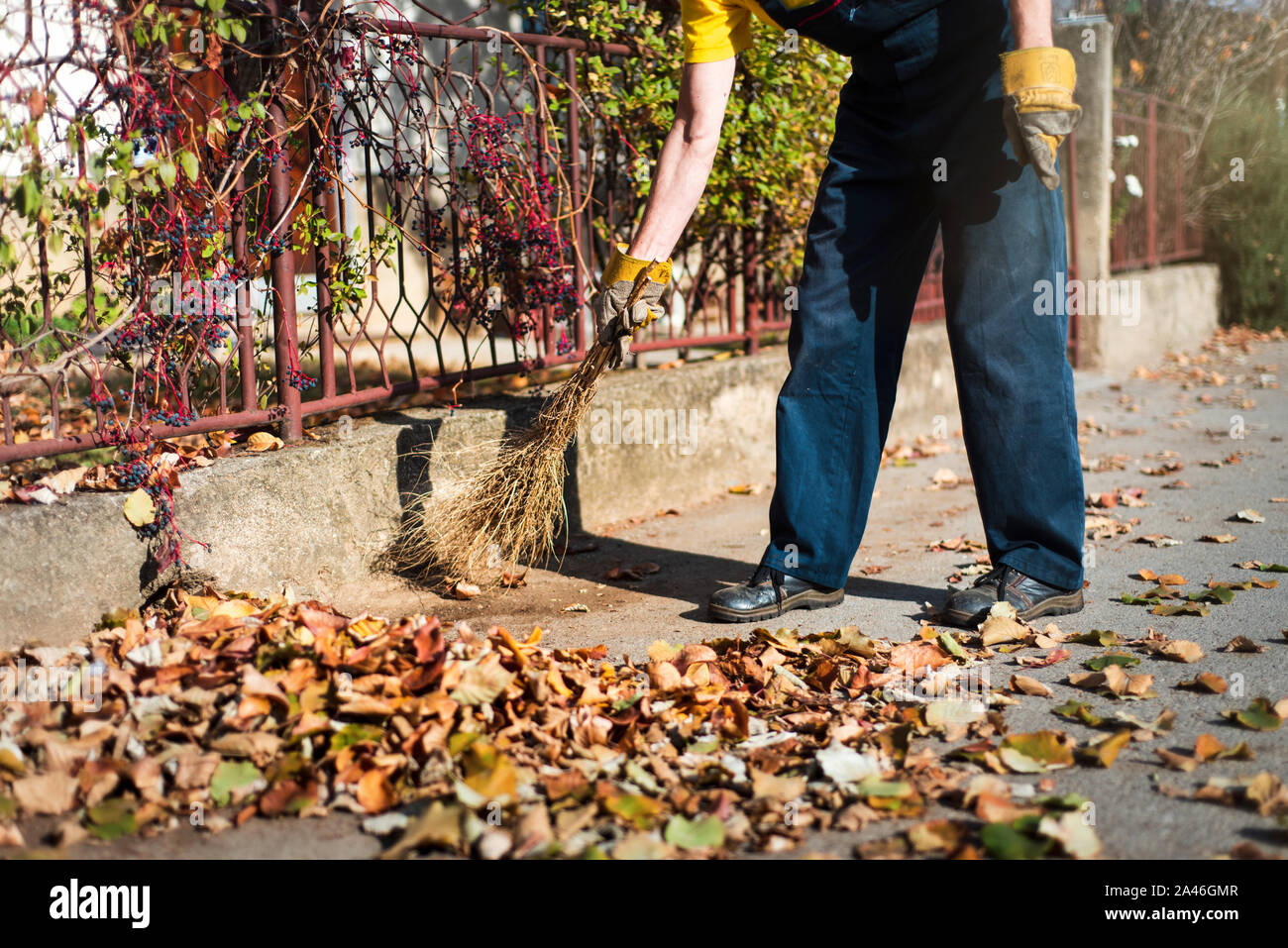 L'uomo brooming la strada per raccogliere caduto foglie di autunno Foto Stock