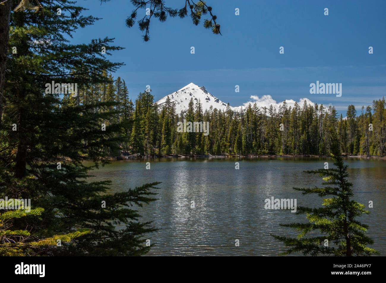 Oregon Mount McLoughlin, un vulcano Cascades, come visto dal lago di Berenice Foto Stock