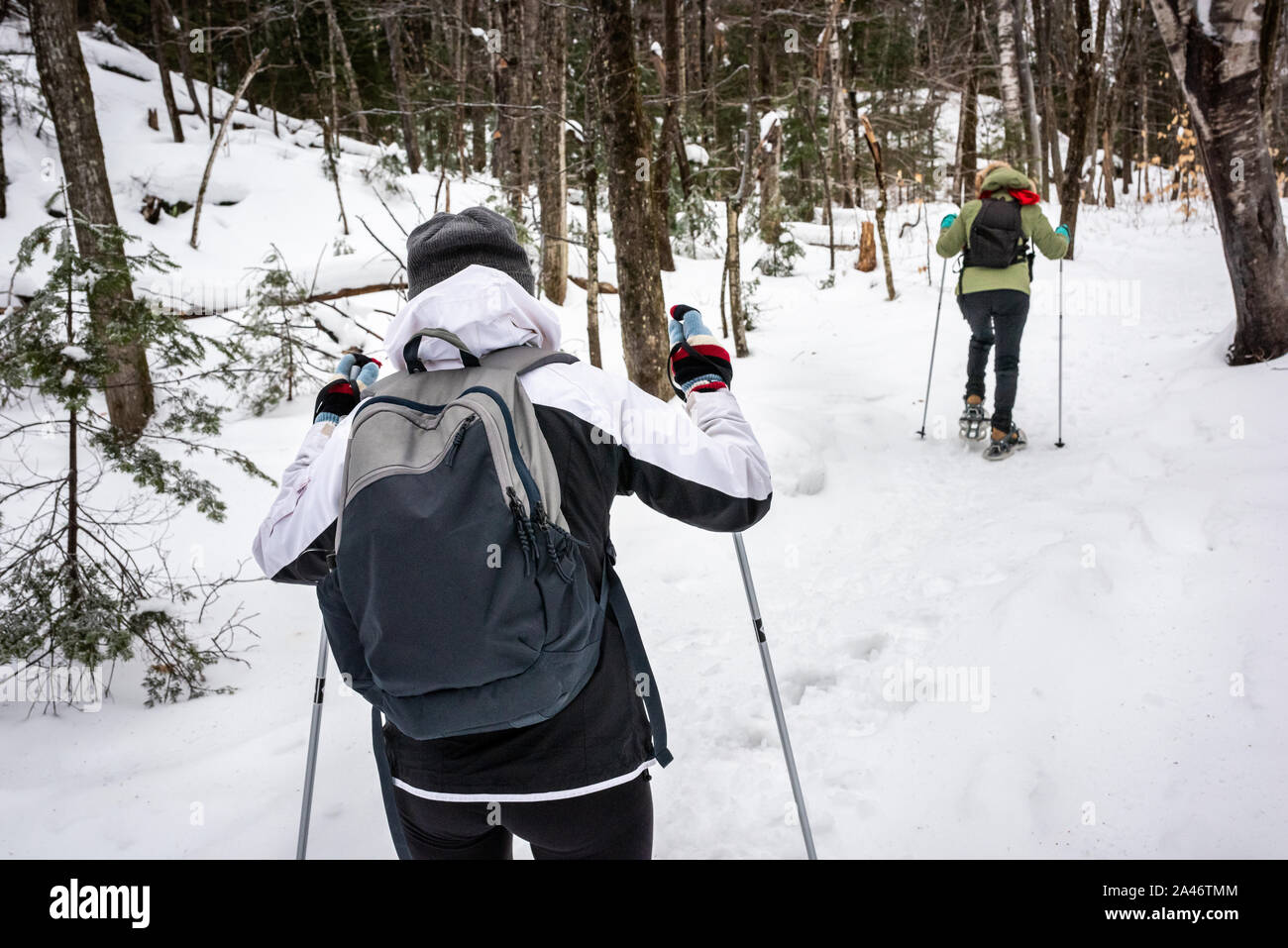Vista posteriore di due donne con le racchette da neve insieme nella foresta Foto Stock