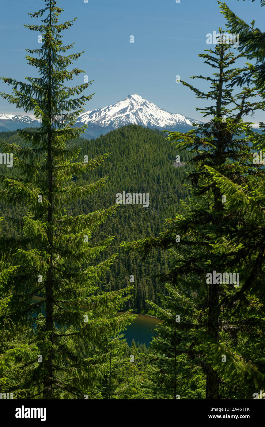Oregon Mount Jefferson come visto dal sentiero n. 544 sopra il lago di Elk, vicino a Detroit, Oregon Foto Stock