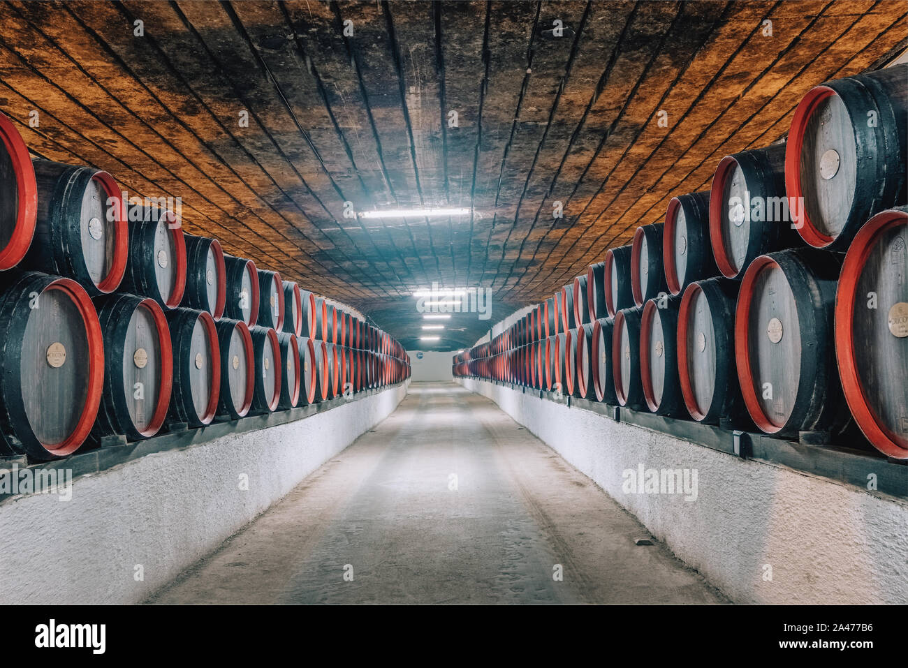 Botti da vino all'interno della metropolitana gallerie di una famosa cantina Cricova in Moldova Foto Stock