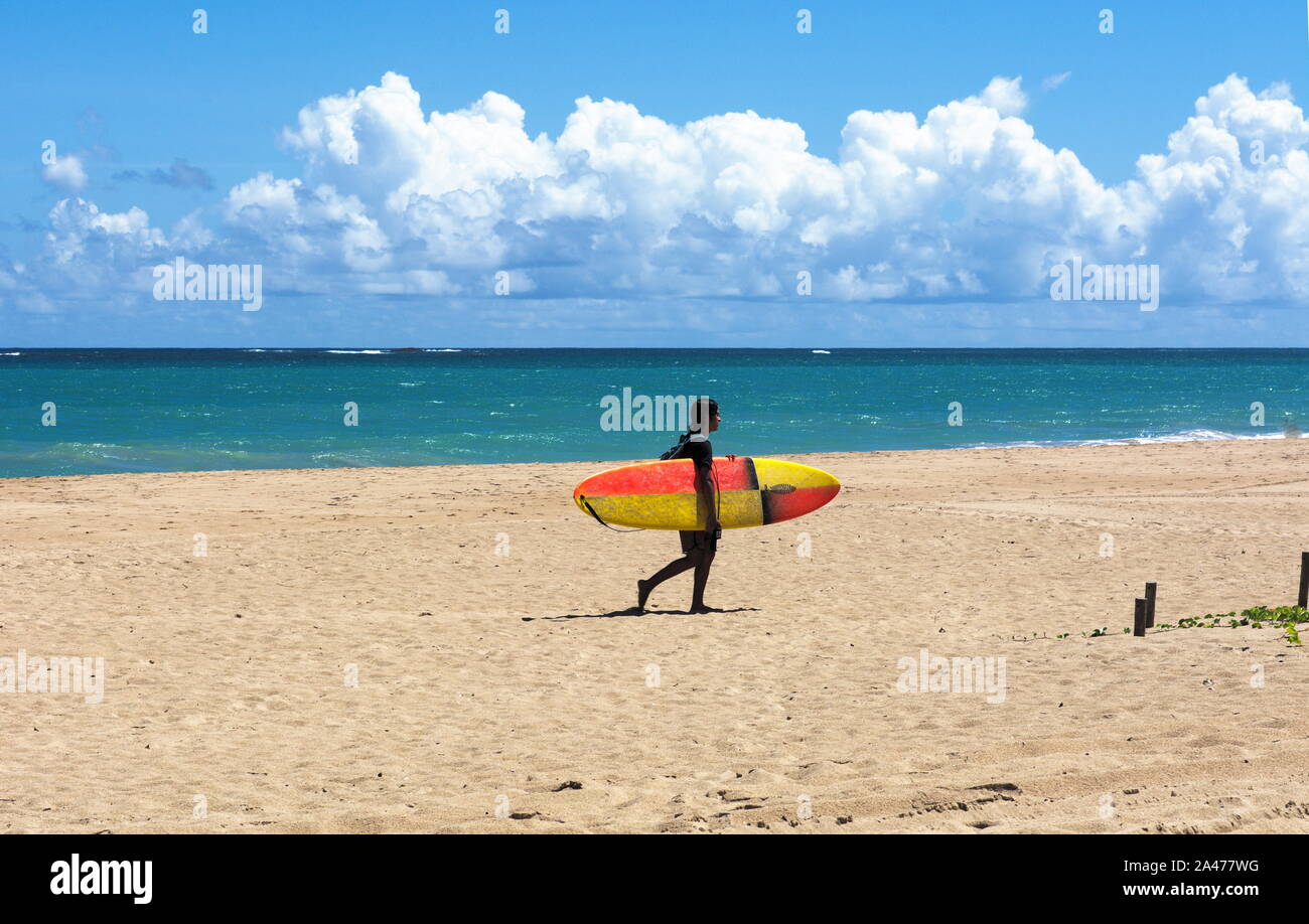 Una persona che porta una tavola da surf in spiaggia Foto Stock
