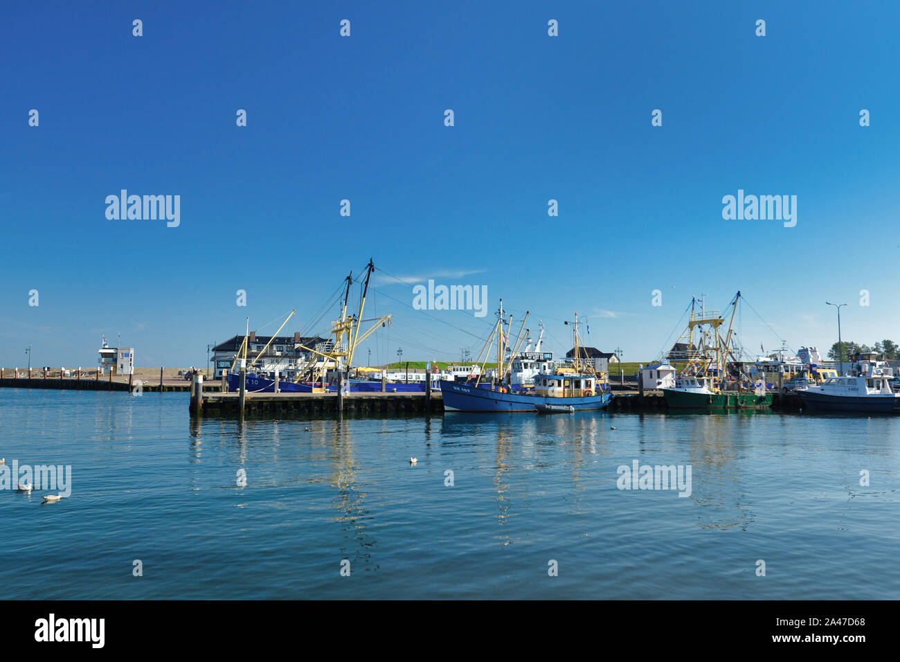 Oudeschild, Texel / Paesi Bassi - Agosto 2019: vista sul porto con diverse barche ancorate su isola di Texel sulla giornata estiva con cielo blu Foto Stock