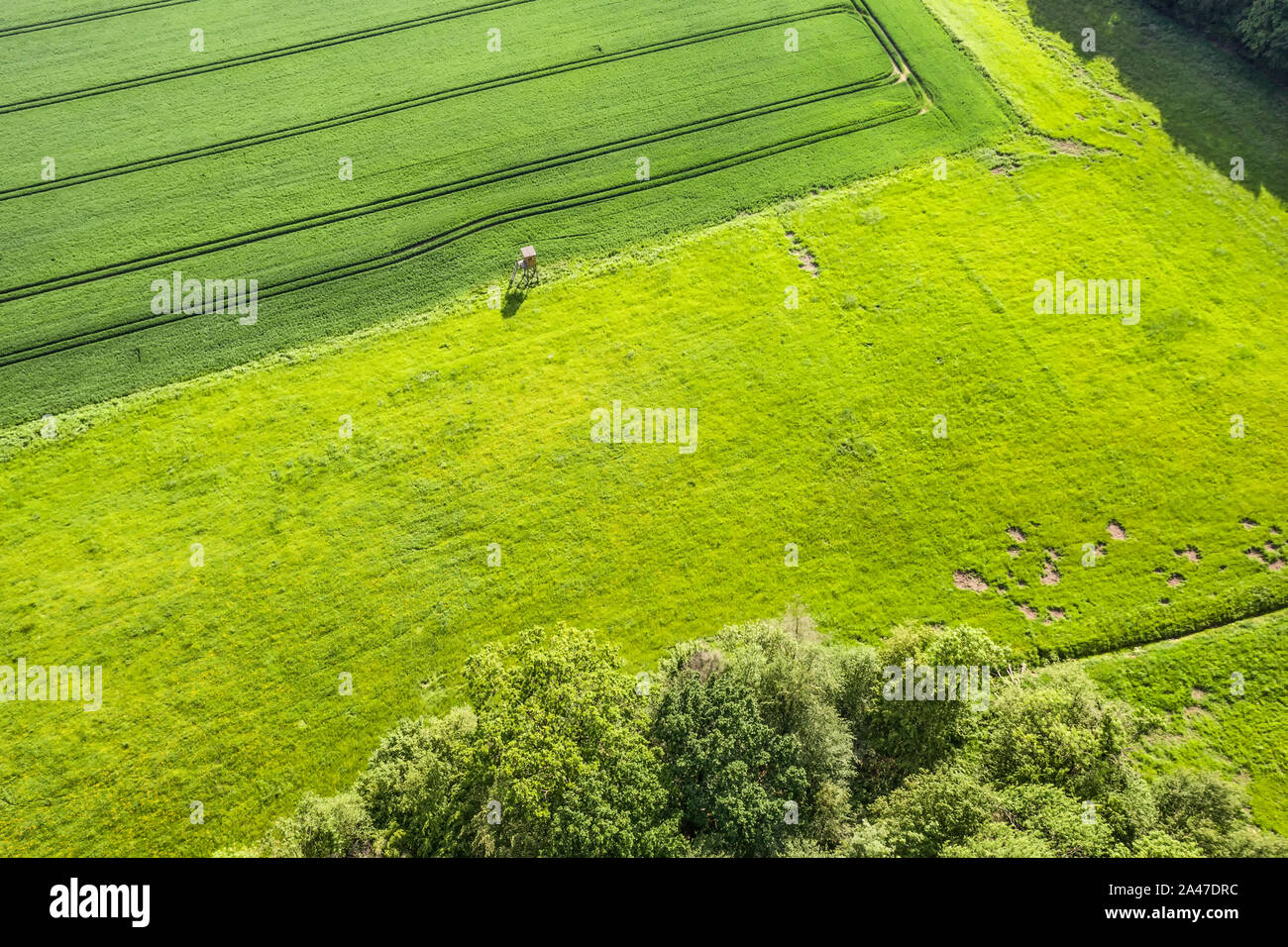 Vista aerea rurale della terra di caccia Foto Stock