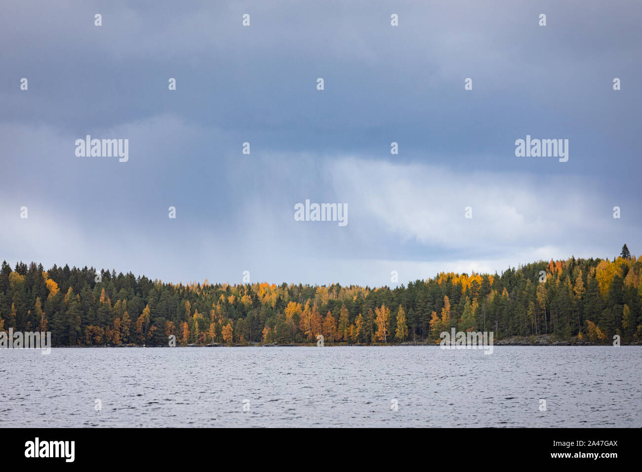 La pioggia su colori autunnali foresta a riva del lago paesaggio Foto Stock