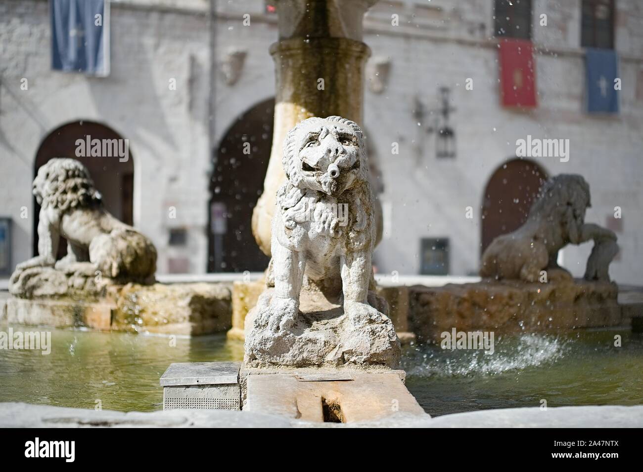 Dettaglio di un leone scultura di una fontana nella piazza principale di Assisi, Italia Foto Stock