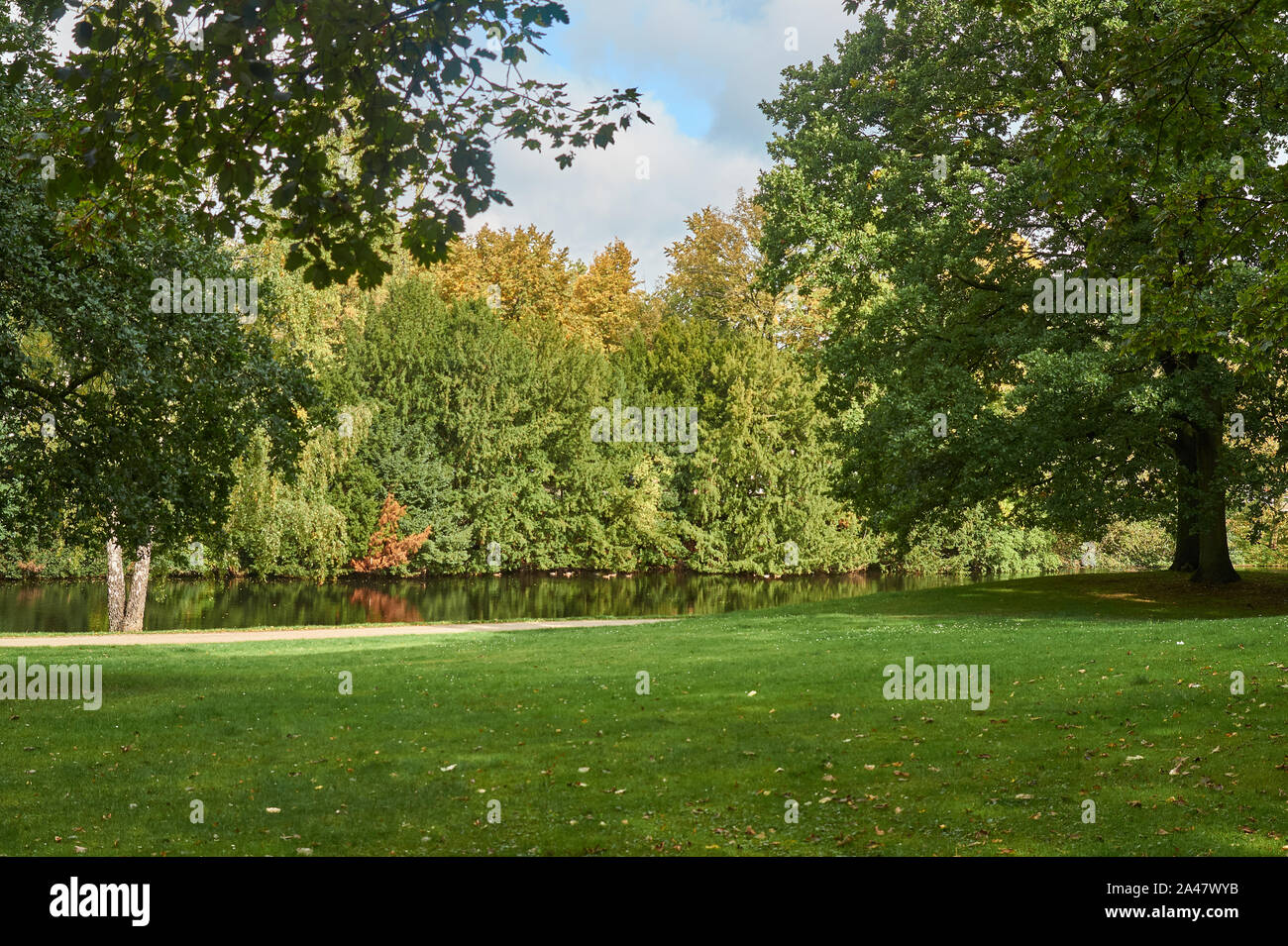 Prato con erba verde dal fiume in una giornata di sole con la foresta di autunno in background Foto Stock