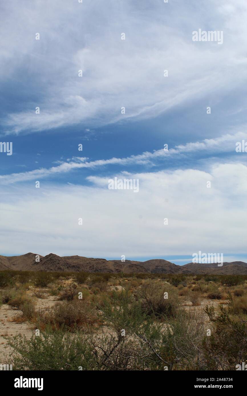Il 29 palme Mountain range può essere osservato a Joshua Tree National Park, a est dell'Ingresso Nord. Lunghe può esse rimangono protetti. Foto Stock