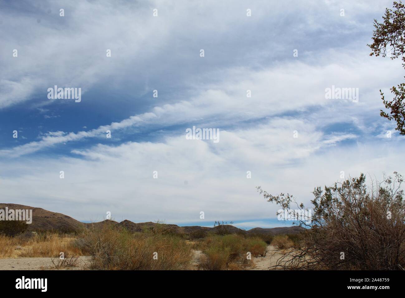 Il 29 palme Mountain range può essere osservato a Joshua Tree National Park, a est dell'Ingresso Nord. Lunghe può esse rimangono protetti. Foto Stock