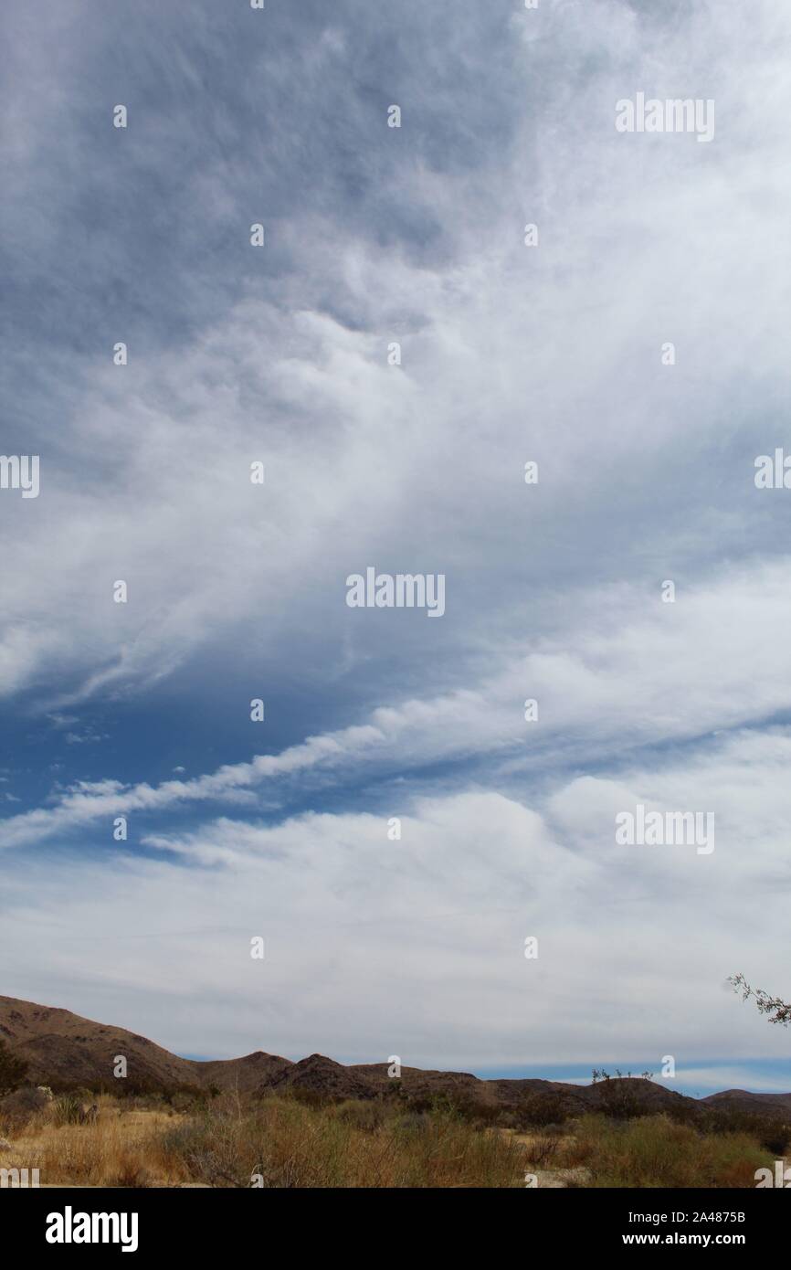 Il 29 palme Mountain range può essere osservato a Joshua Tree National Park, a est dell'Ingresso Nord. Lunghe può esse rimangono protetti. Foto Stock