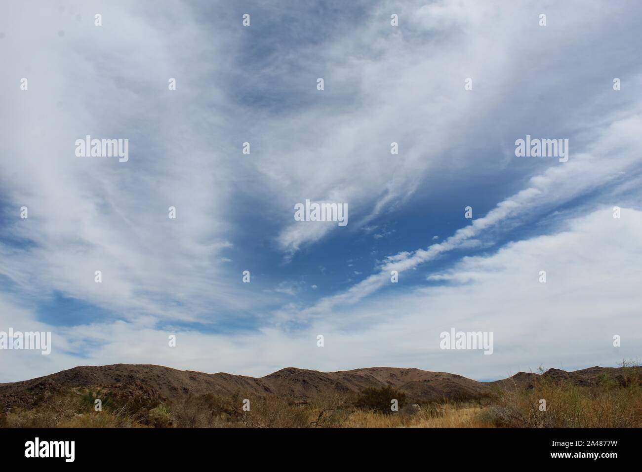 Il 29 palme Mountain range può essere osservato a Joshua Tree National Park, a est dell'Ingresso Nord. Lunghe può esse rimangono protetti. Foto Stock