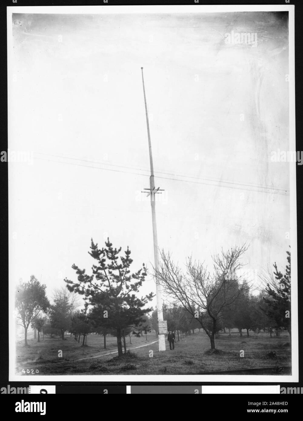 Polo di bandiera, la cui porzione superiore è la bandiera polo del celebrato il 14 giugno 1846 recano insurrezione di bandiera di Sonoma, 1903 Foto Stock